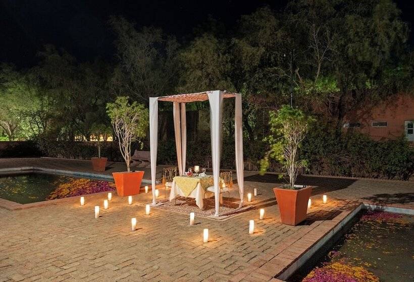 فندق Brij Gaj Kesri, Bikaner   A Boutique Luxury Palace
