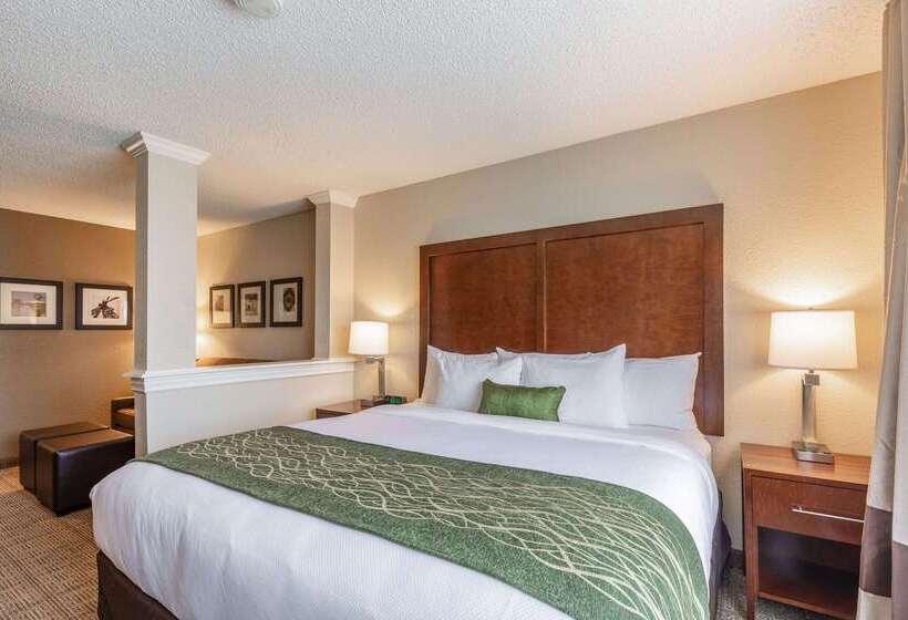 בית מלון כפרי Comfort Inn South Tulsa   Woodland Hills