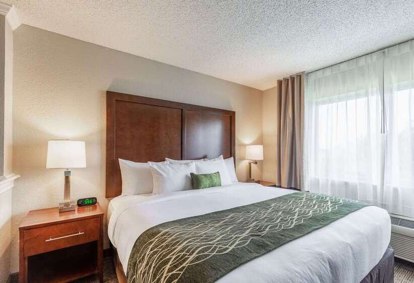 בית מלון כפרי Comfort Inn South Tulsa   Woodland Hills