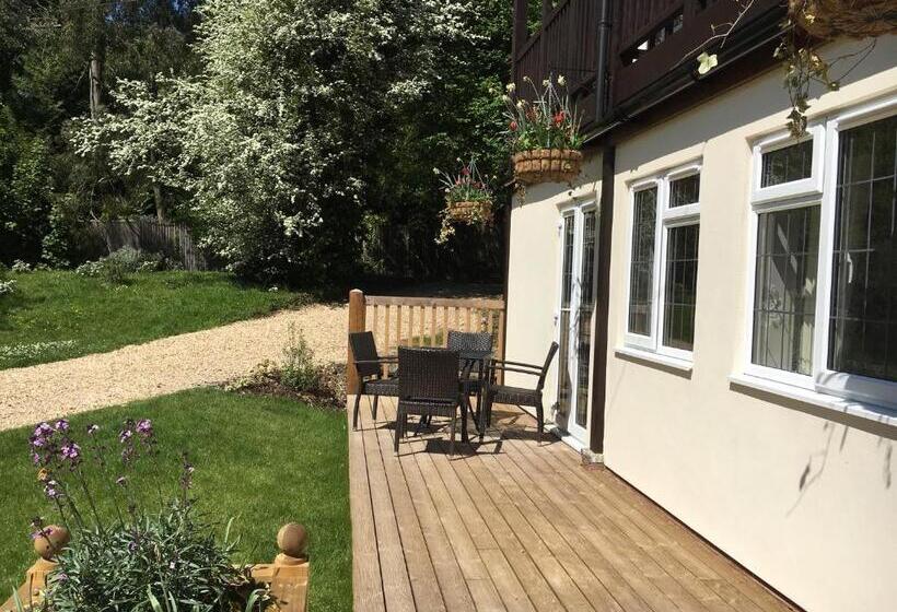 Отель Farnham House