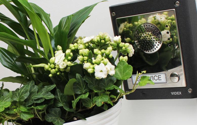 Отель Gidea Park