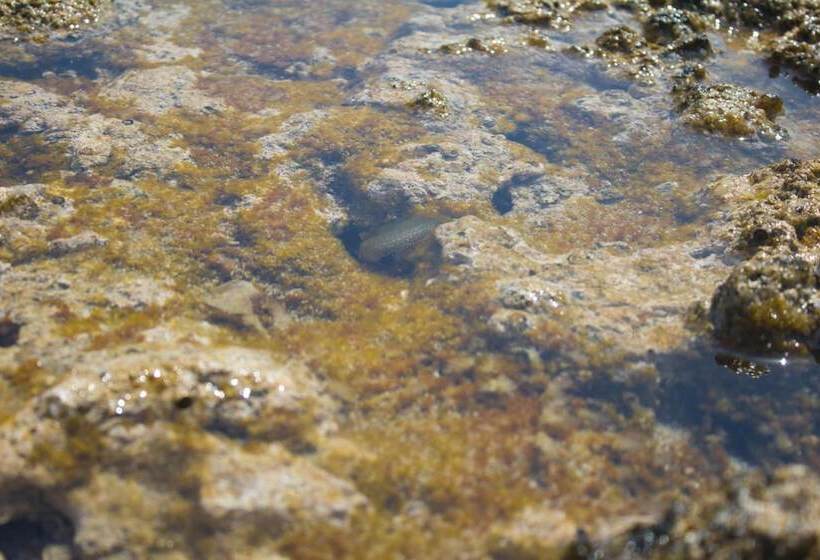 ホテル Grotticelle