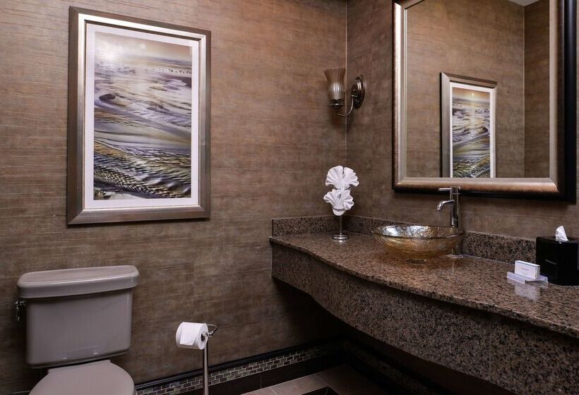 فندق Hilton Garden Inn Jacksonville Downtown Southbank