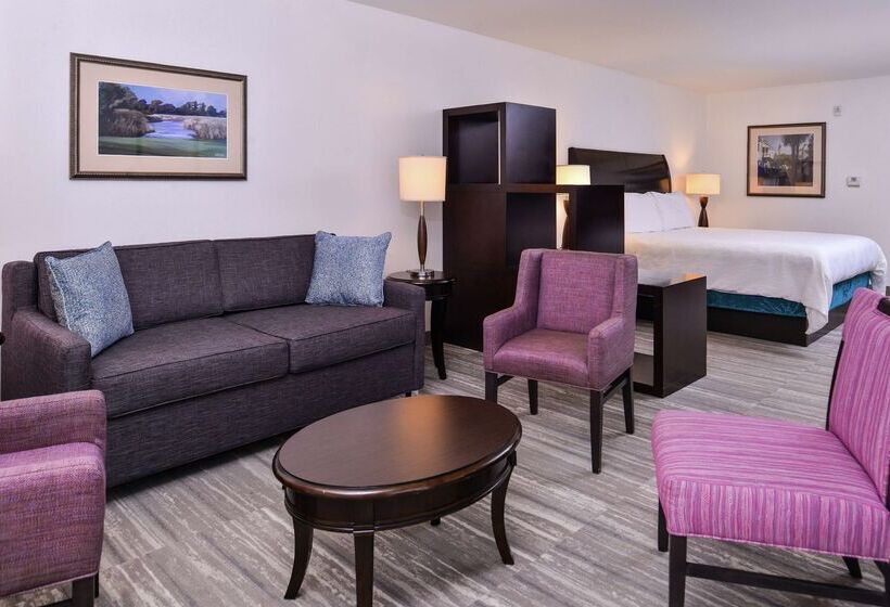 فندق Hilton Garden Inn Jacksonville Downtown Southbank
