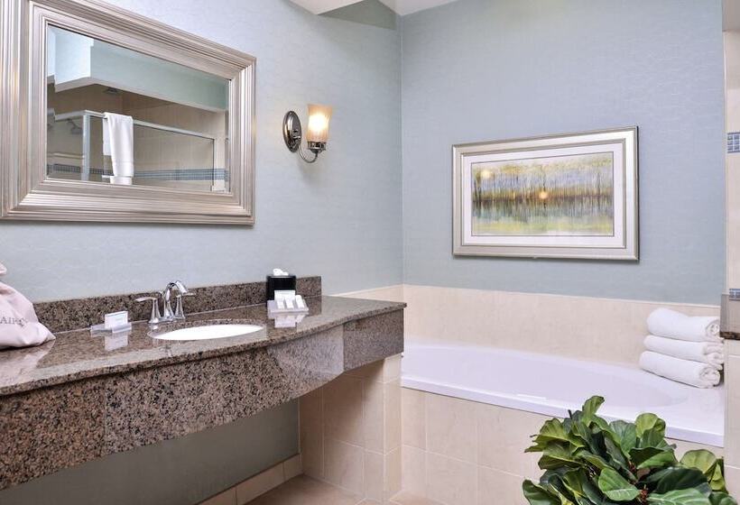 فندق Hilton Garden Inn Jacksonville Downtown Southbank