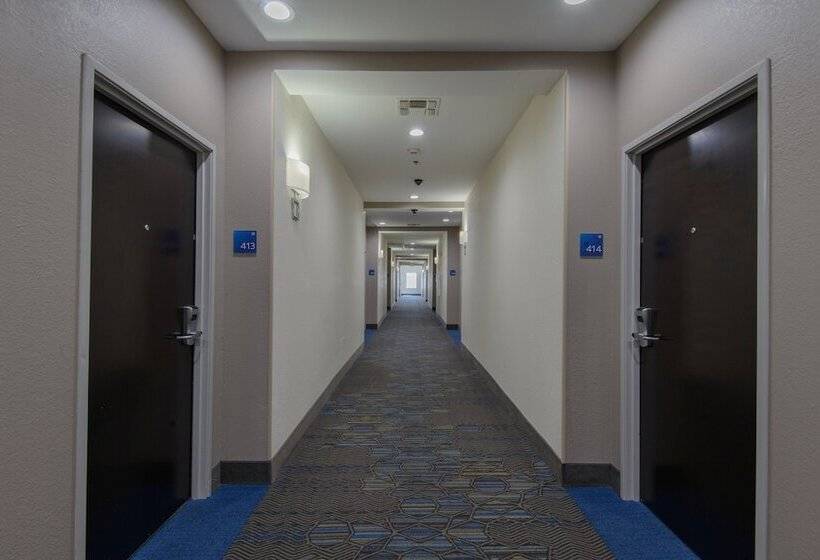 فندق Holiday Inn Express & Suites Corpus Christi, An Ihg