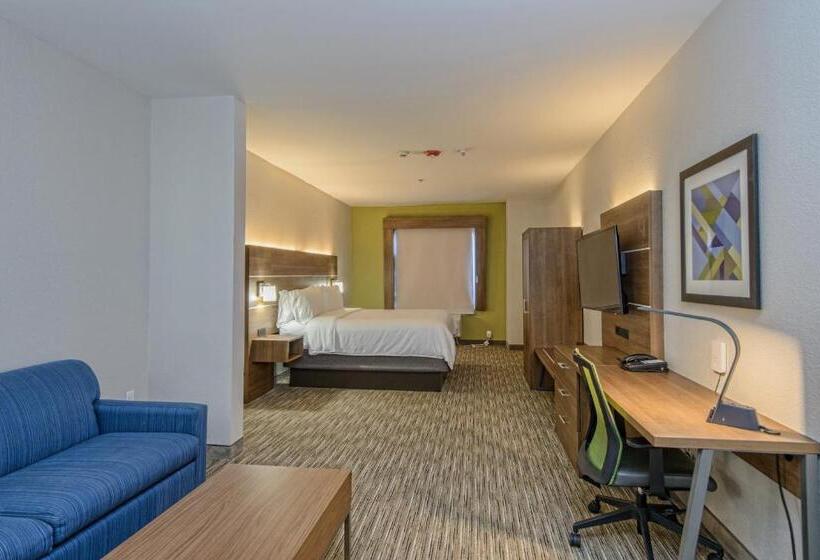 فندق Holiday Inn Express & Suites Corpus Christi, An Ihg