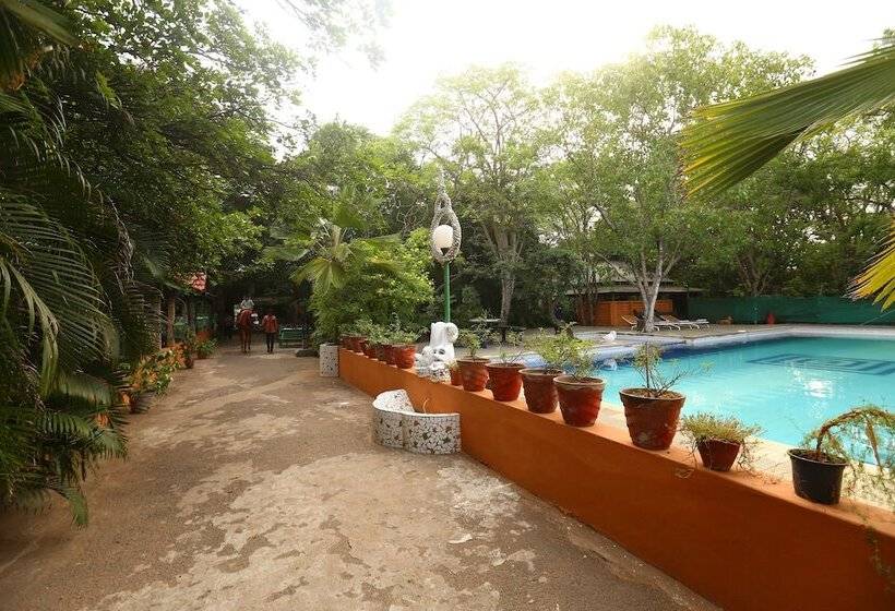 ホテル Indeco Mahabalipuram