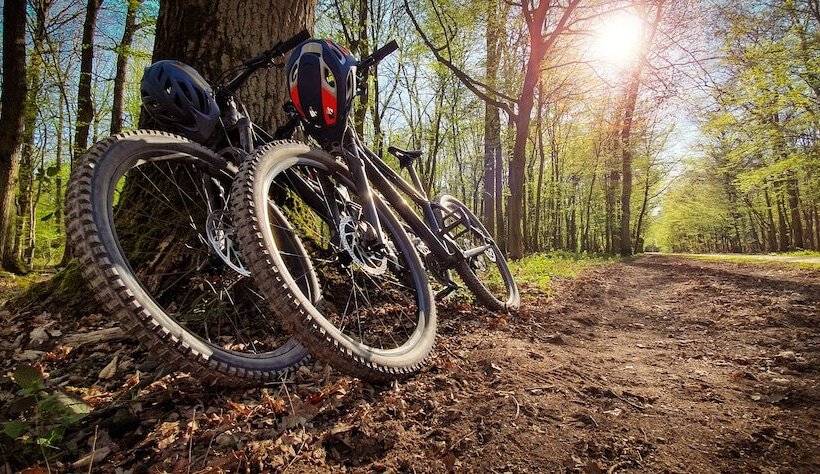 Landidyll Hotel Weidenbrück & Spa