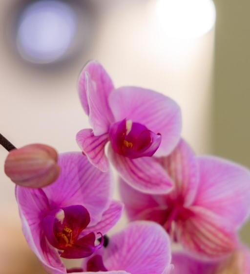 酒店 Les Armoiries