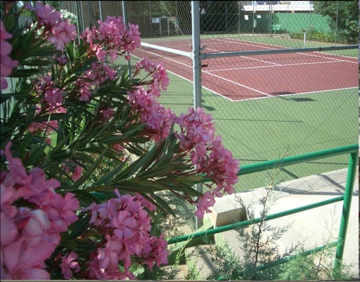 酒店 Los Balcones De Zafra