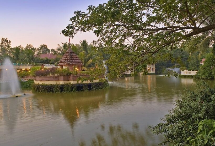 Отель Mayfair Lagoon