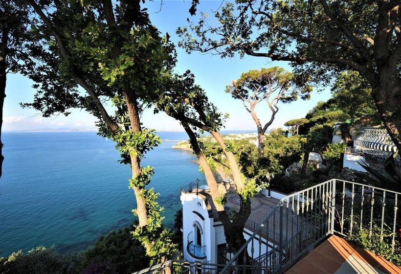 בית מלון כפרי Myage