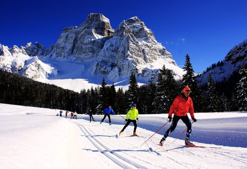 فندق Orso Grigio