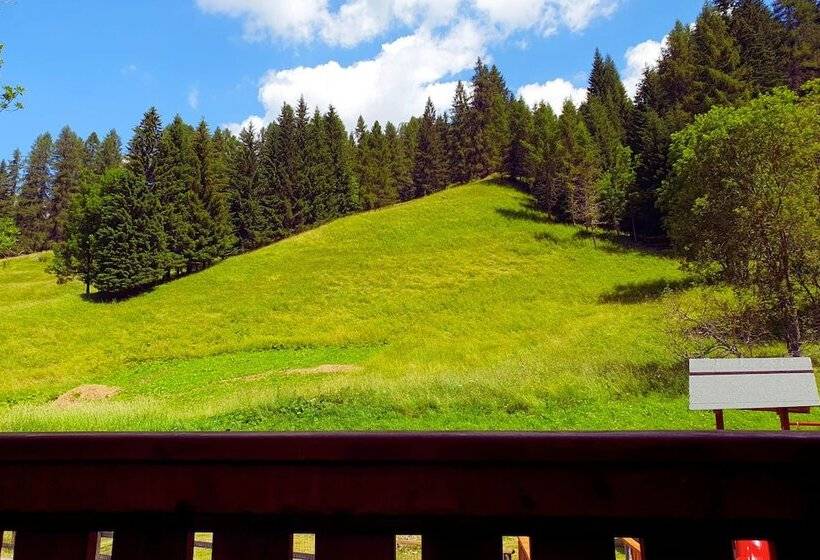 فندق Orso Grigio