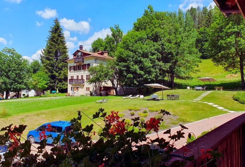 فندق Orso Grigio