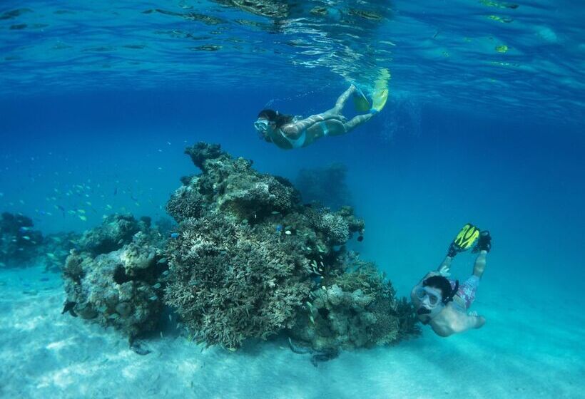 هتل Pacific Resort Aitutaki   Adults Only