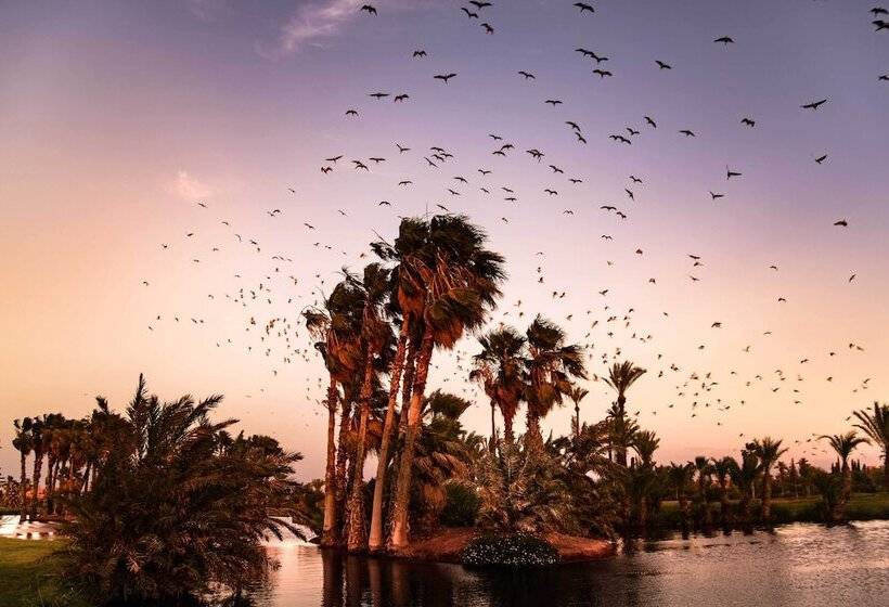 호텔 Pickalbatros Hôtel Du Golf - Adults Friendly 16 Years Plus -  All-Inclusive