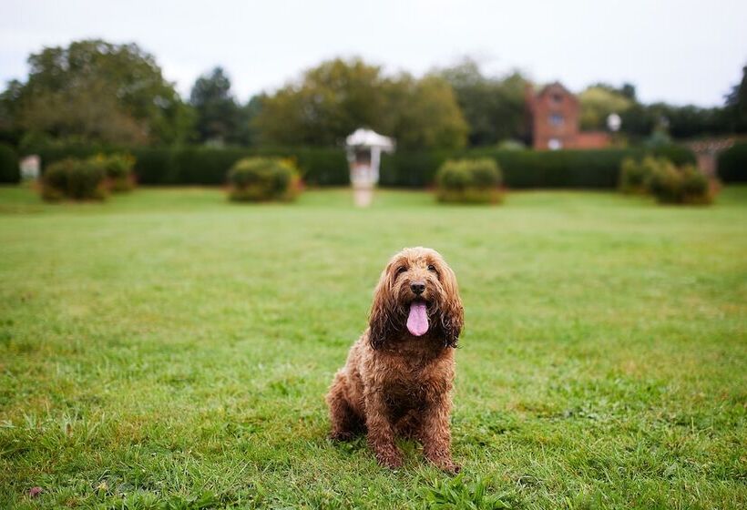 Seckford Hall Hotel & Spa