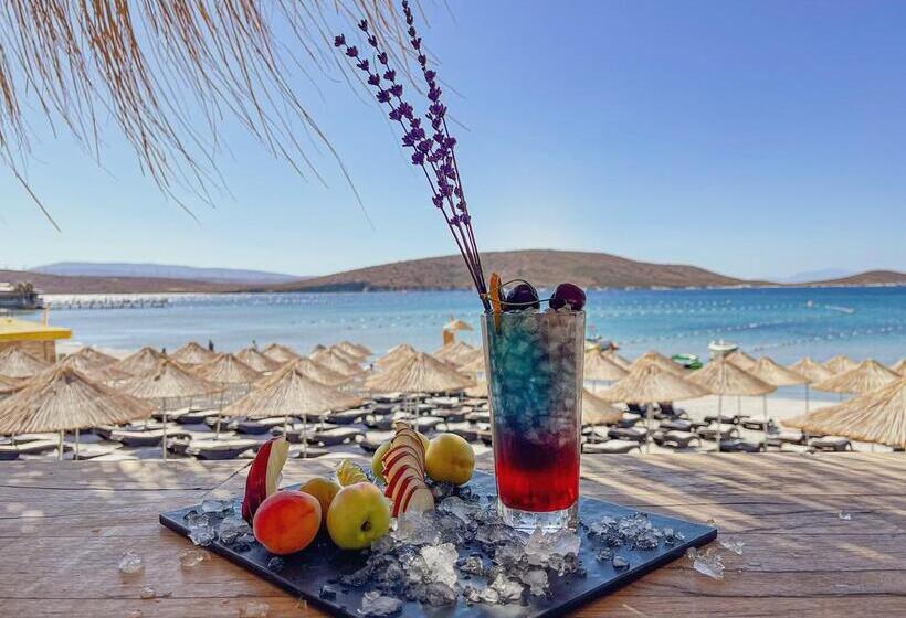 هتل Design Plus Seya Beach