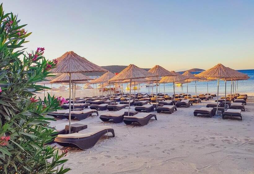 هتل Design Plus Seya Beach