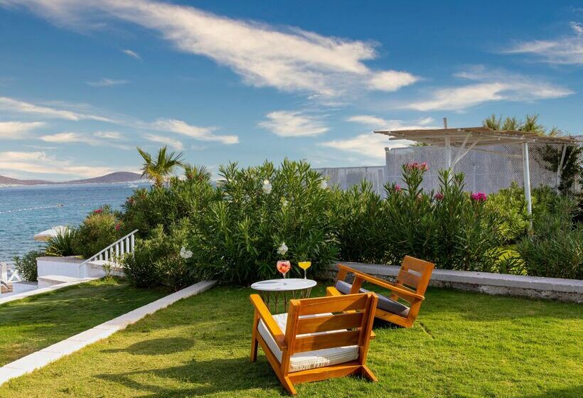 هتل Design Plus Seya Beach