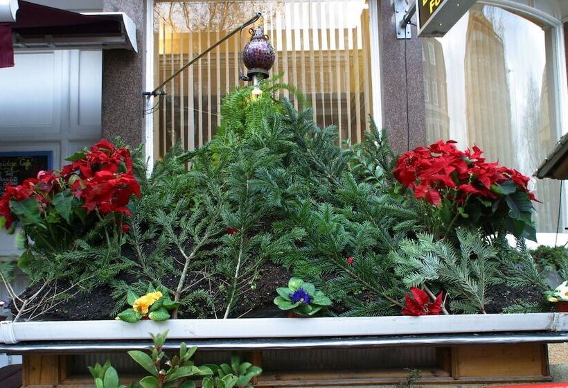 בית מלון כפרי City London