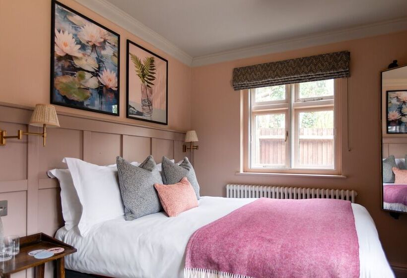 Отель The Carnarvon Arms