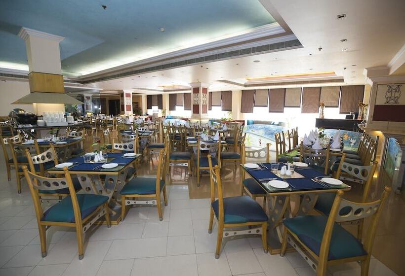 Отель The Piccadily