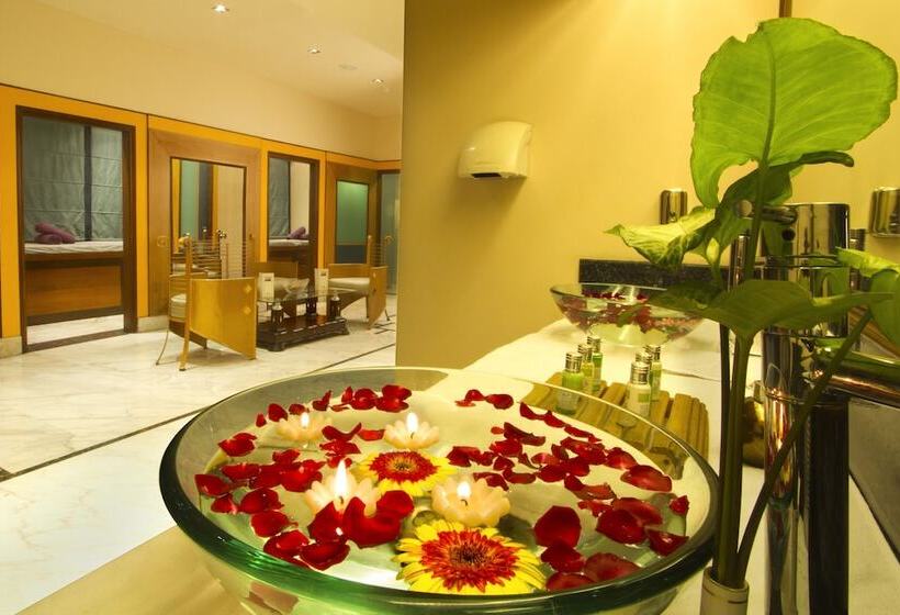 Отель The Piccadily