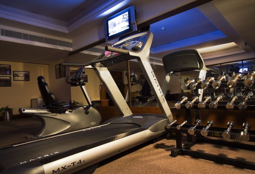 Отель The Piccadily