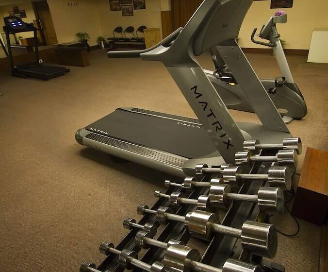 Отель The Piccadily