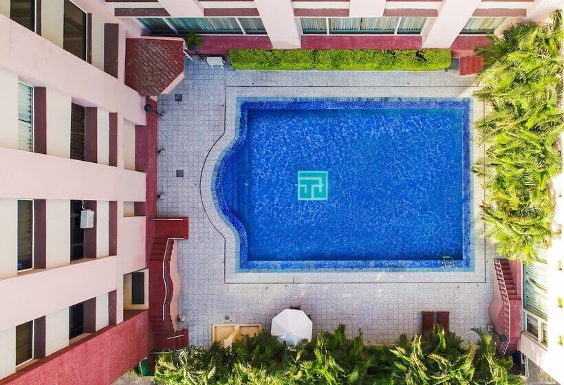 Отель The Piccadily