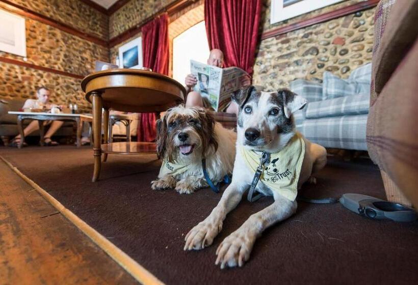 Отель The Red Lion