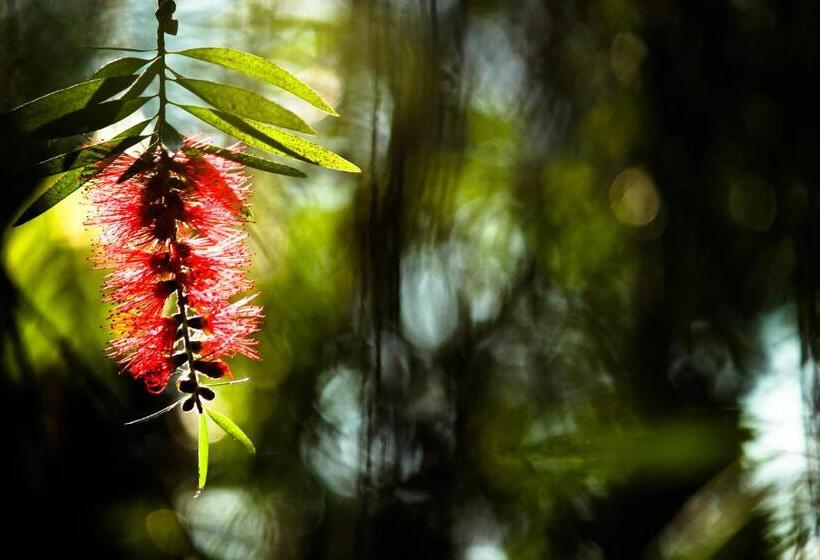 هتل The Siena Village