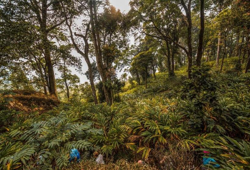 هتل Windermere Estate