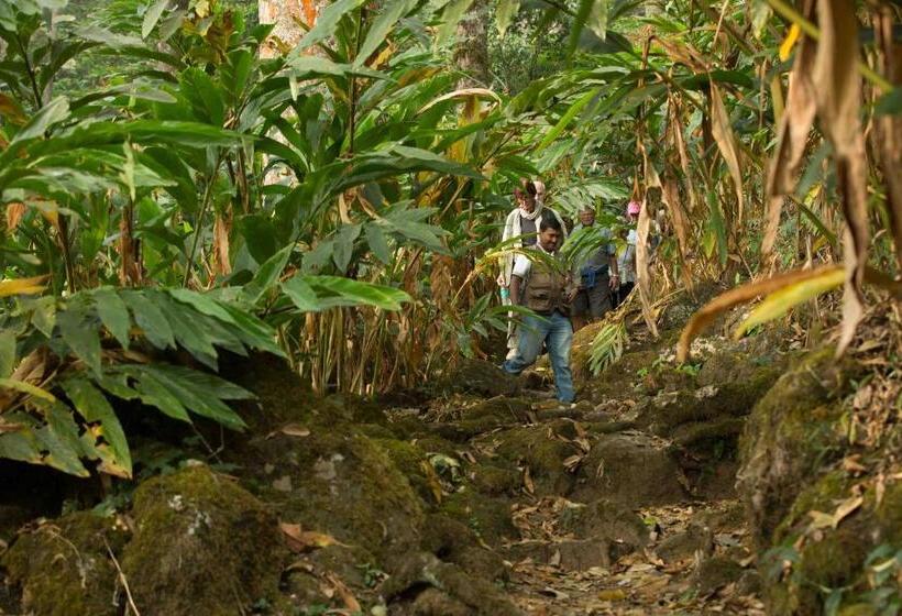 هتل Windermere Estate