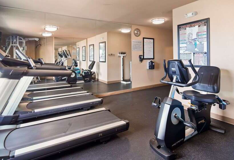 فندق على الطريق Best Western Plus Oceanside Palms