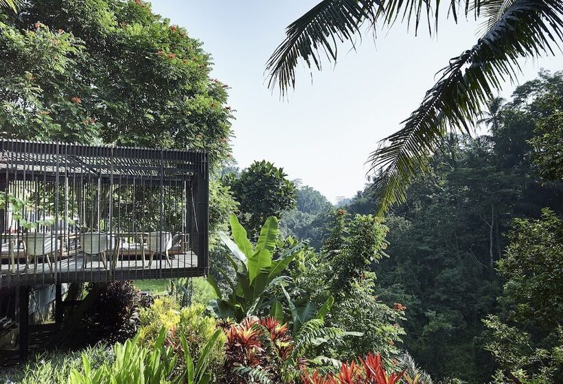 منتجع Chapung Sebali