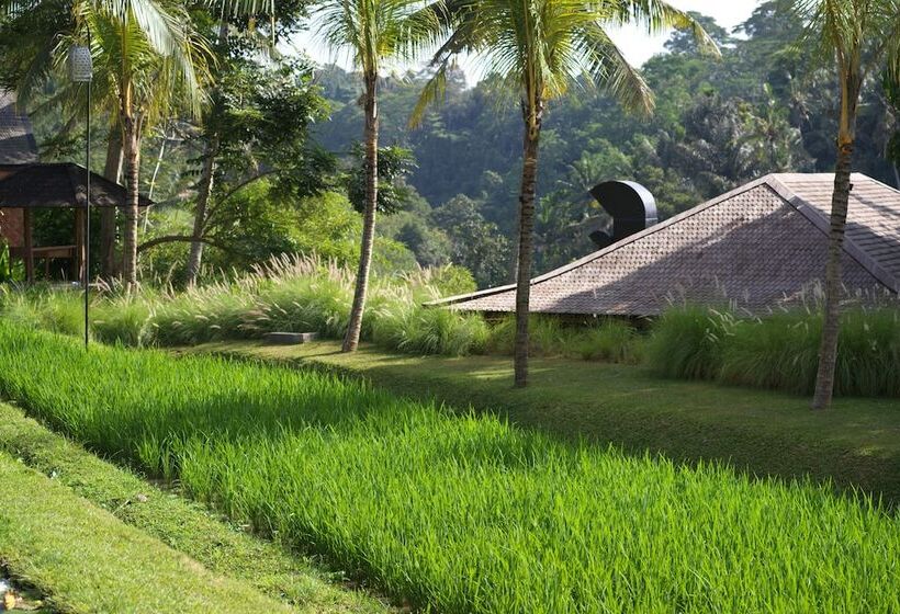 منتجع Chapung Sebali