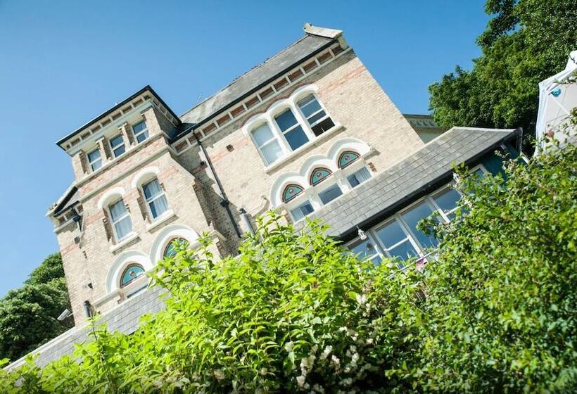 The Elmfield