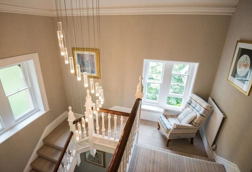 The Elmfield