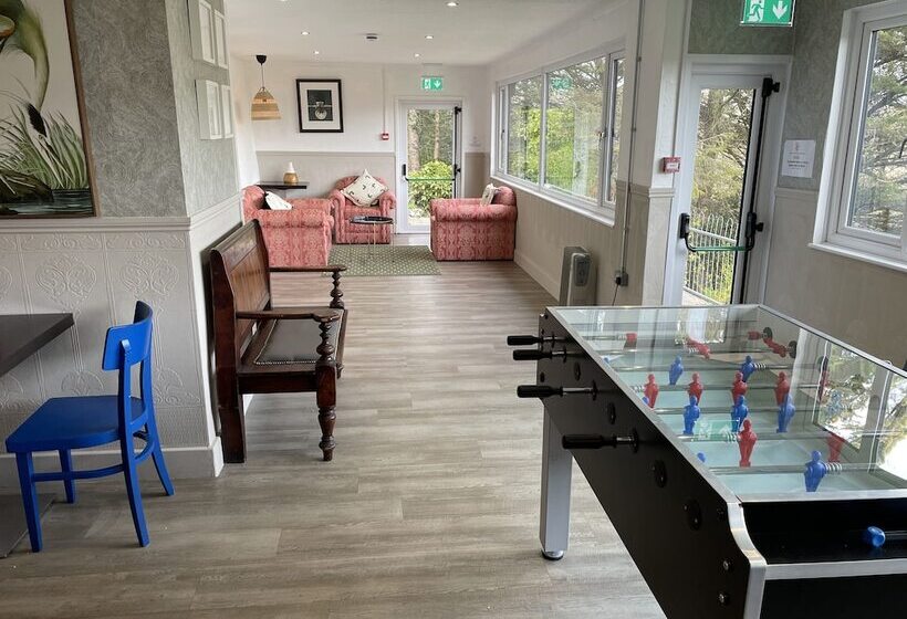 The Elmfield