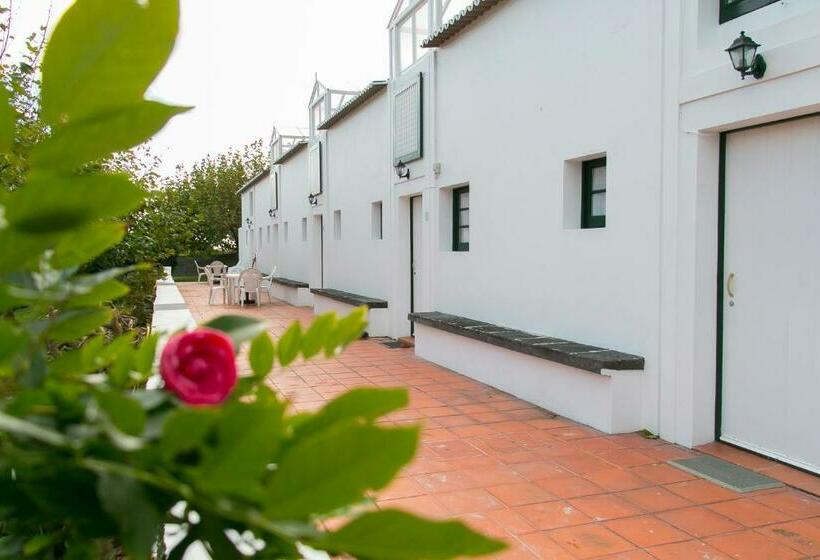 Apartamentos Da Galé