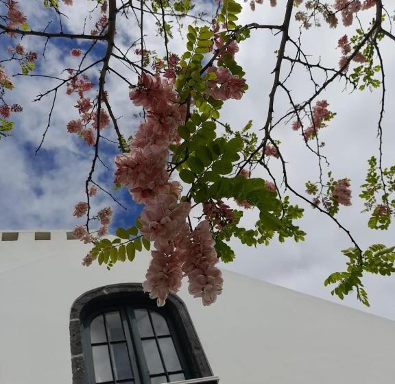 Apartamentos Da Galé