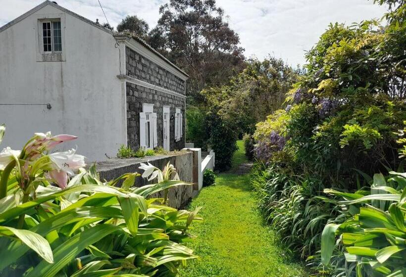 Apartamentos Da Galé