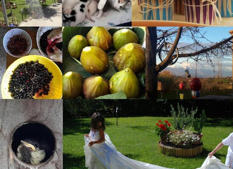 B&b L Albero Di Antonia