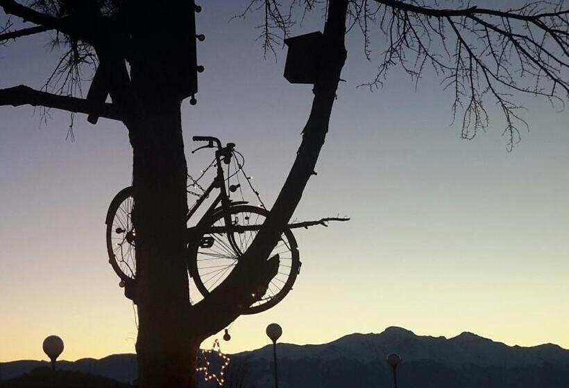 B&b L Albero Di Antonia