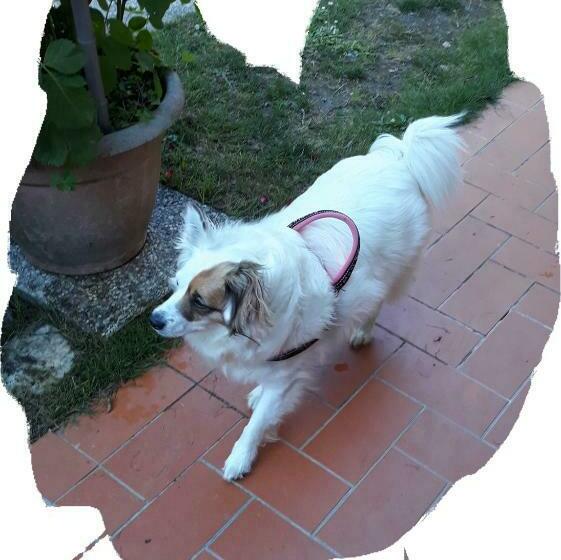 B&b Villa C Era Una Volta