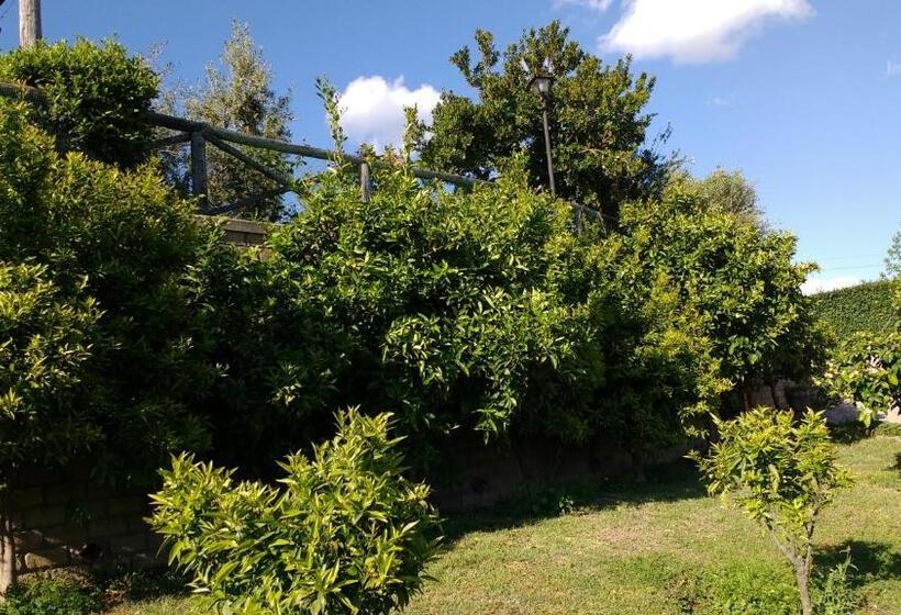 צימר Bed And Bikers